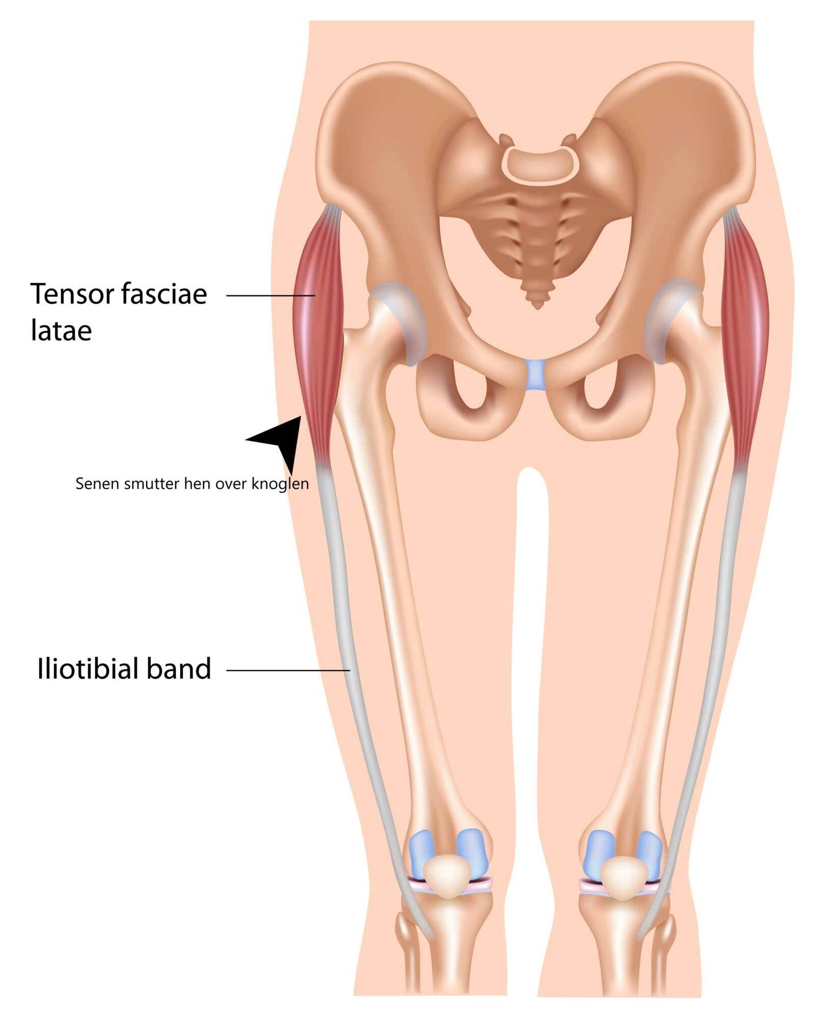 Skader i hofte og lyske